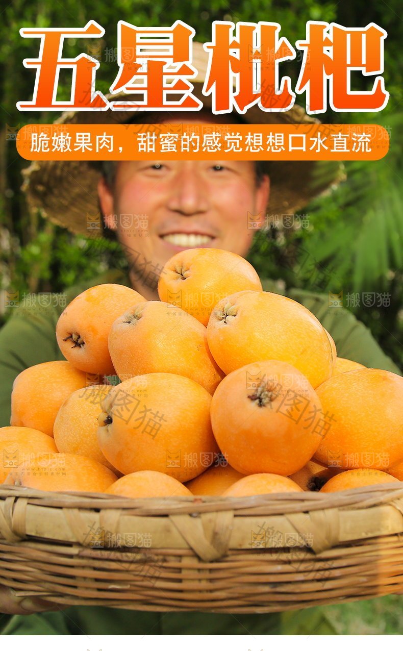 枇杷详情页