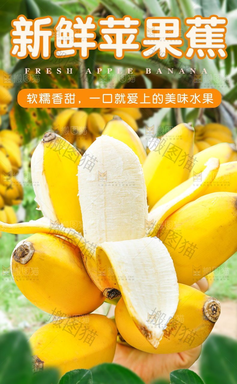新鲜苹果蕉