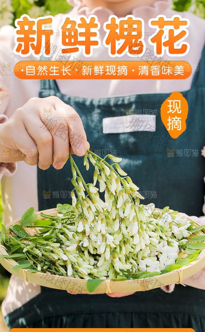 新鲜槐花详情页