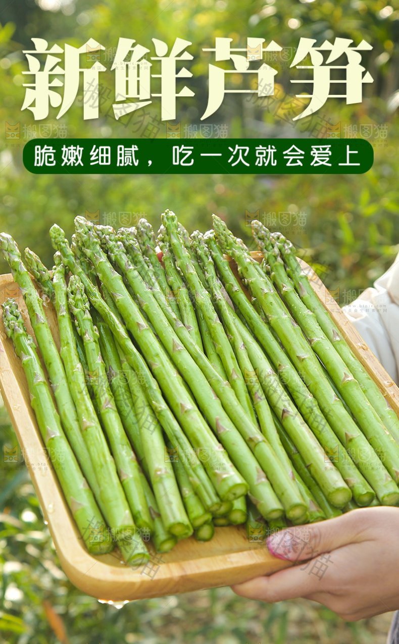 新鲜芦笋详情