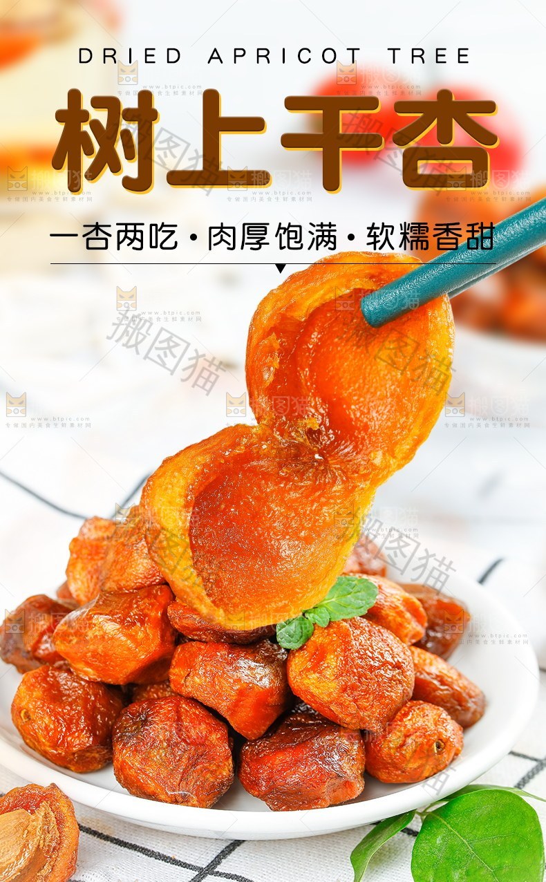 树上干杏详情