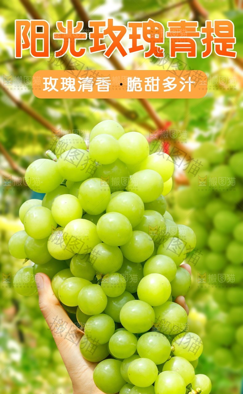 阳光玫瑰青提详情页