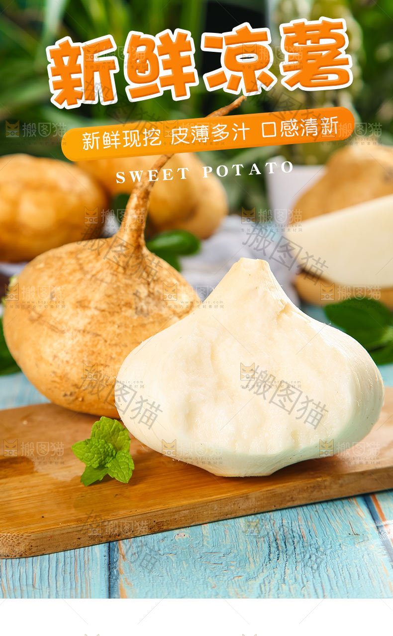 新鲜凉薯详情