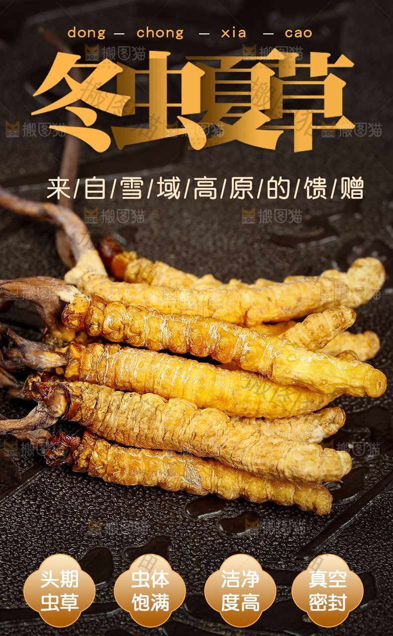 冬虫夏草详情页设计