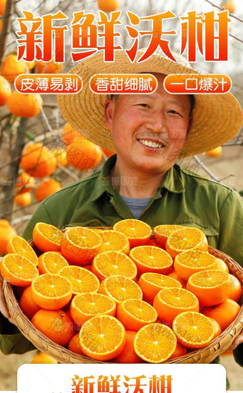 新鲜沃柑详情页