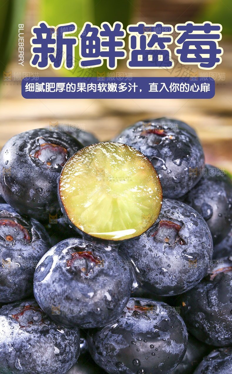 新鲜蓝莓详情