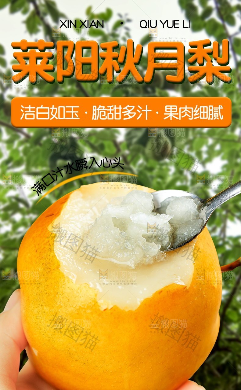 莱阳秋月梨详情页设计