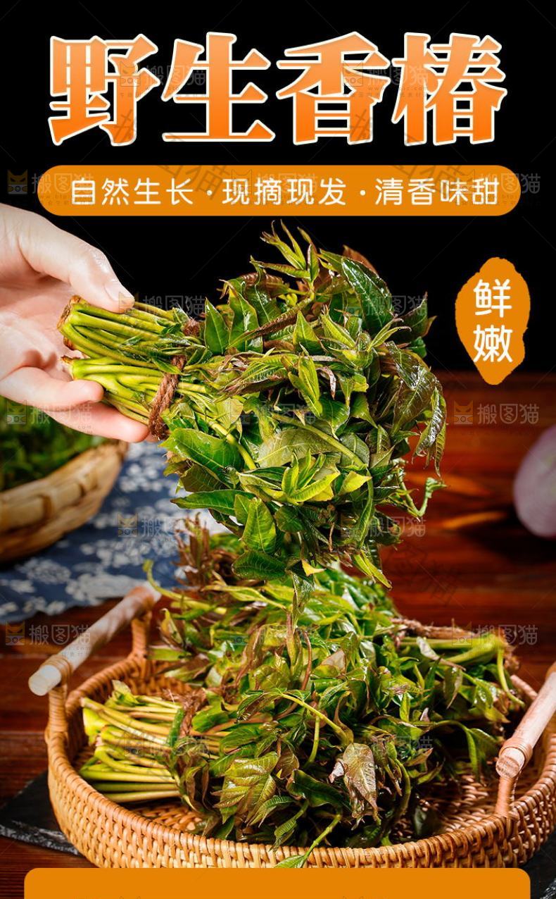 野生香椿详情页设计