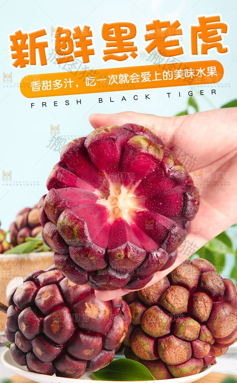 新鲜黑老虎详情页
