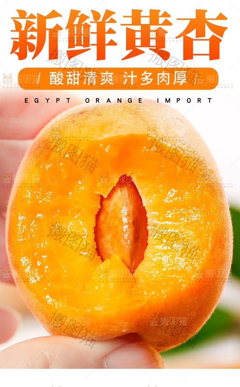 新鲜黄杏详情页
