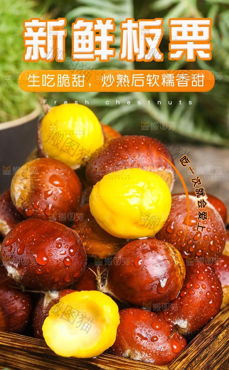 新鲜板栗详情
