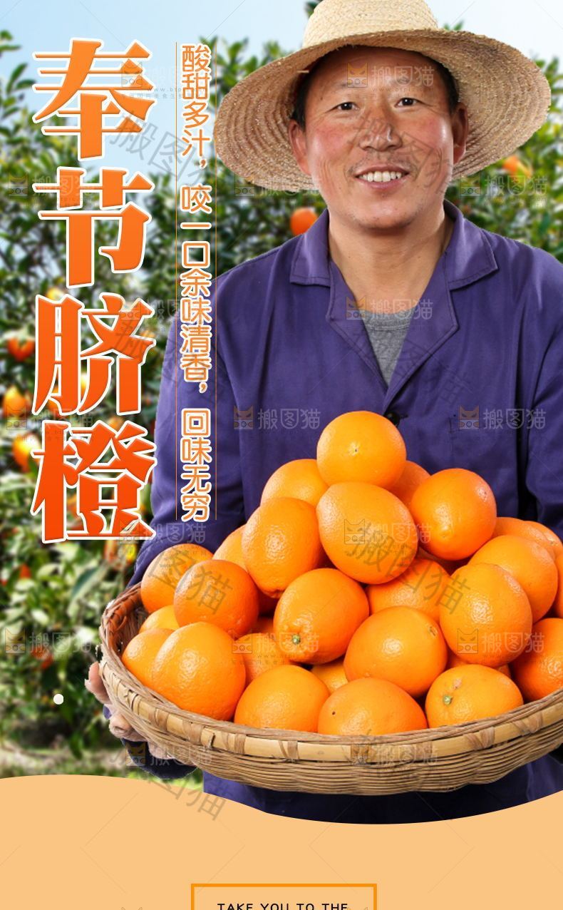 奉节脐橙详情页设计
