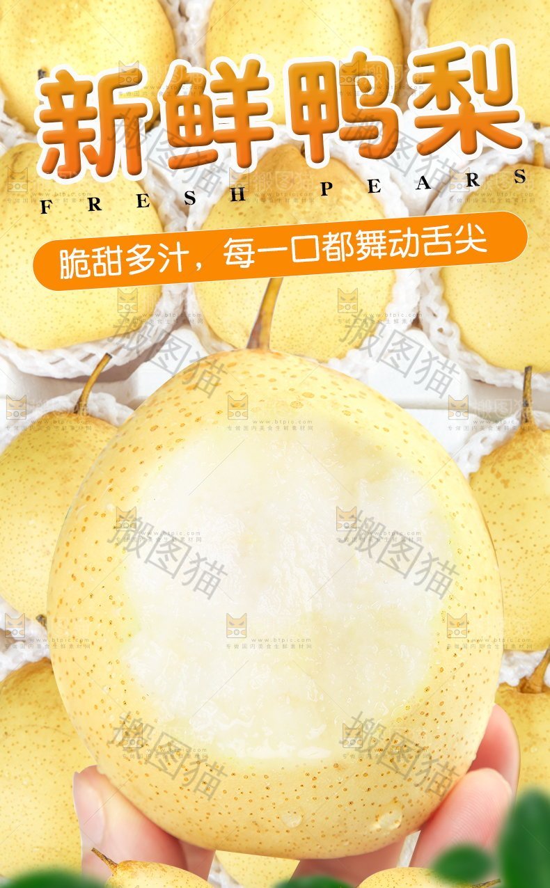 新鲜鸭梨详情