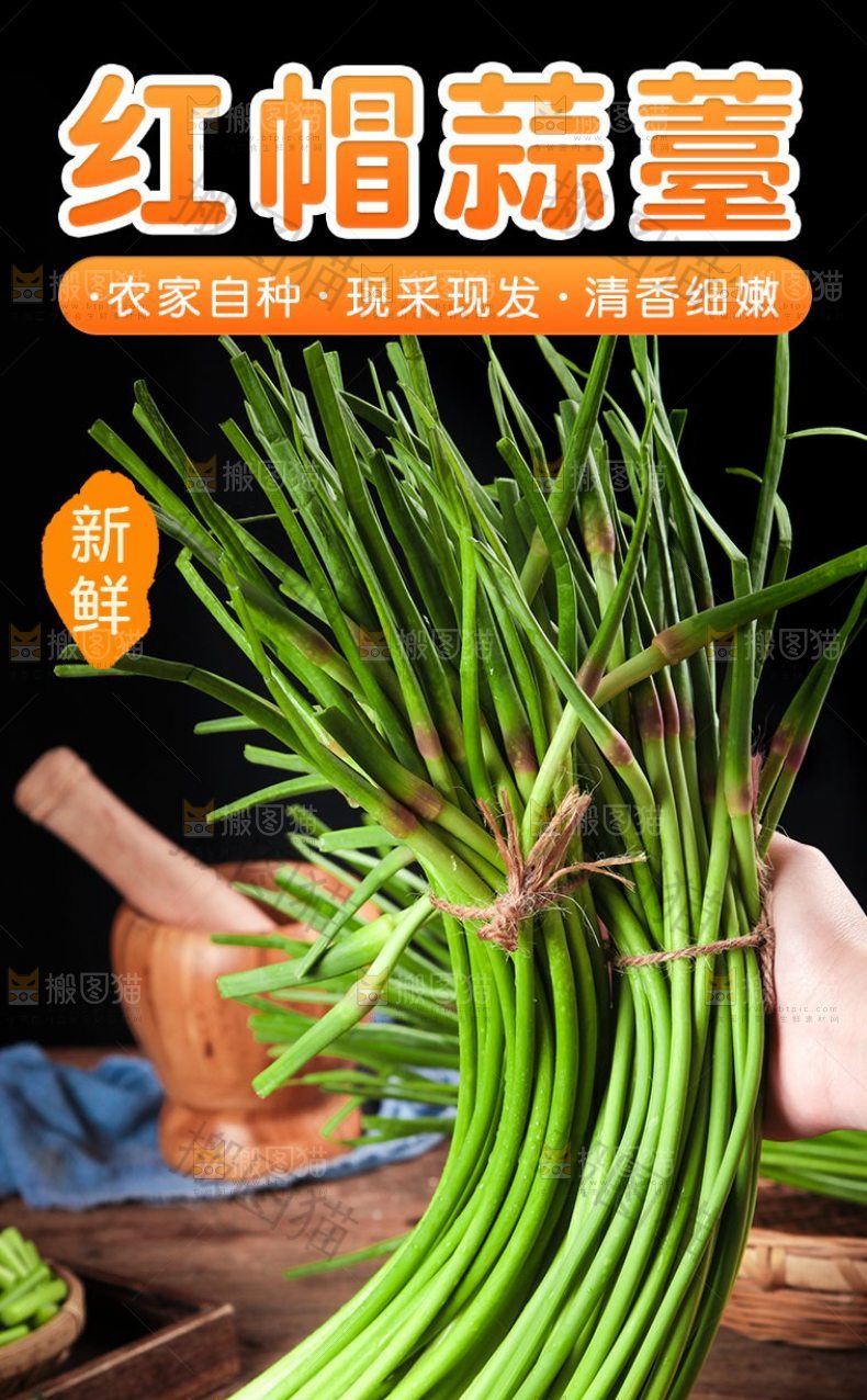 红帽蒜薹详情