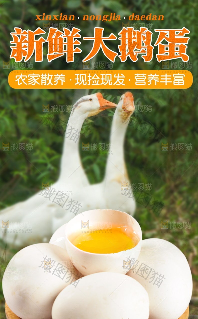 新鲜大鹅蛋详情页设计
