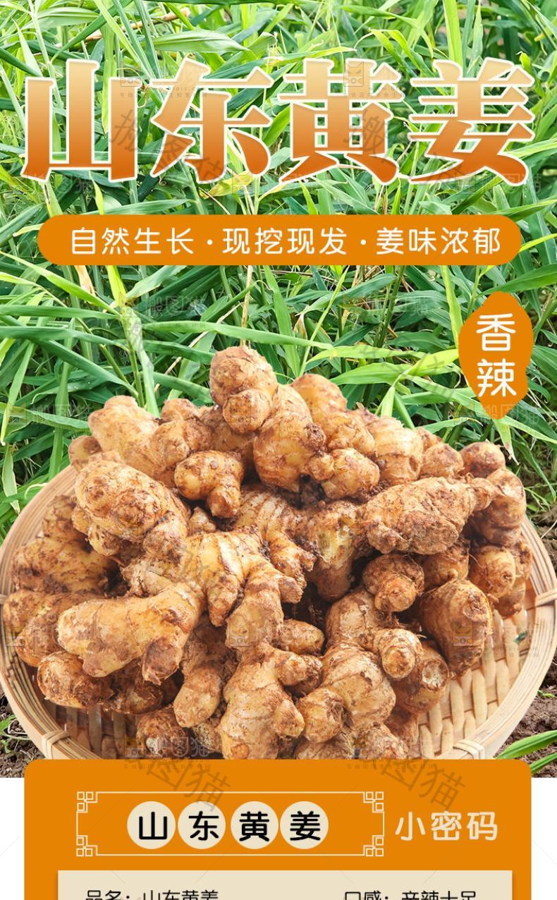 山东黄姜详情页
