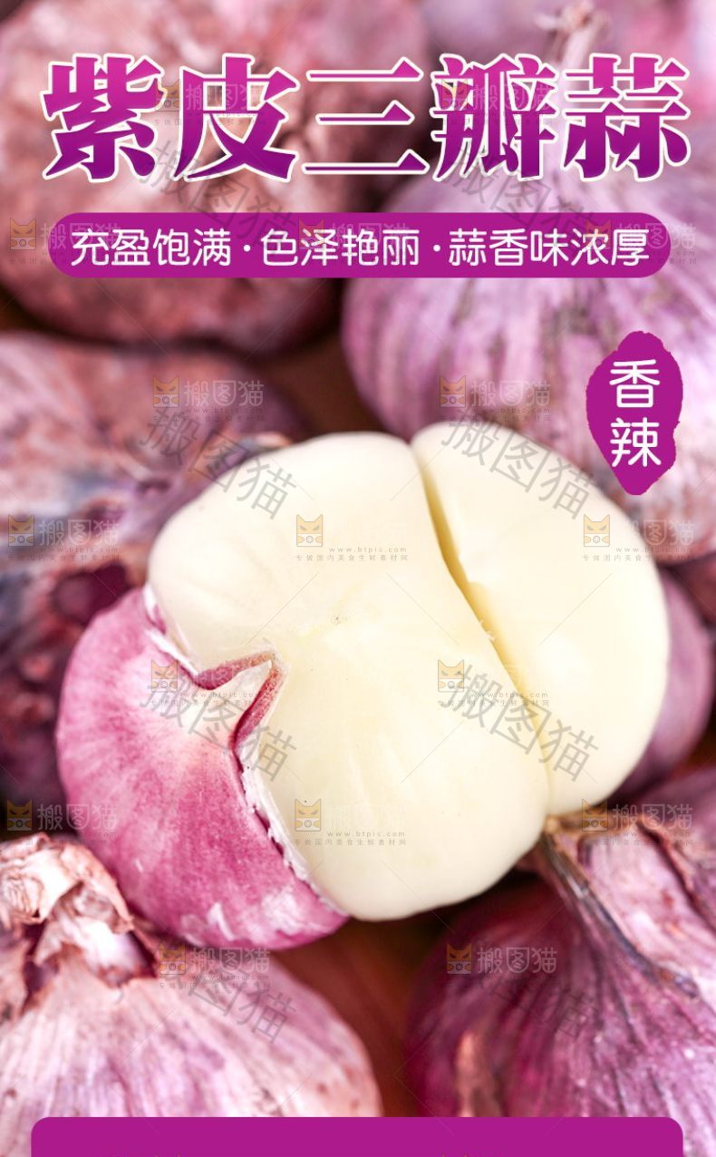紫皮三瓣蒜详情
