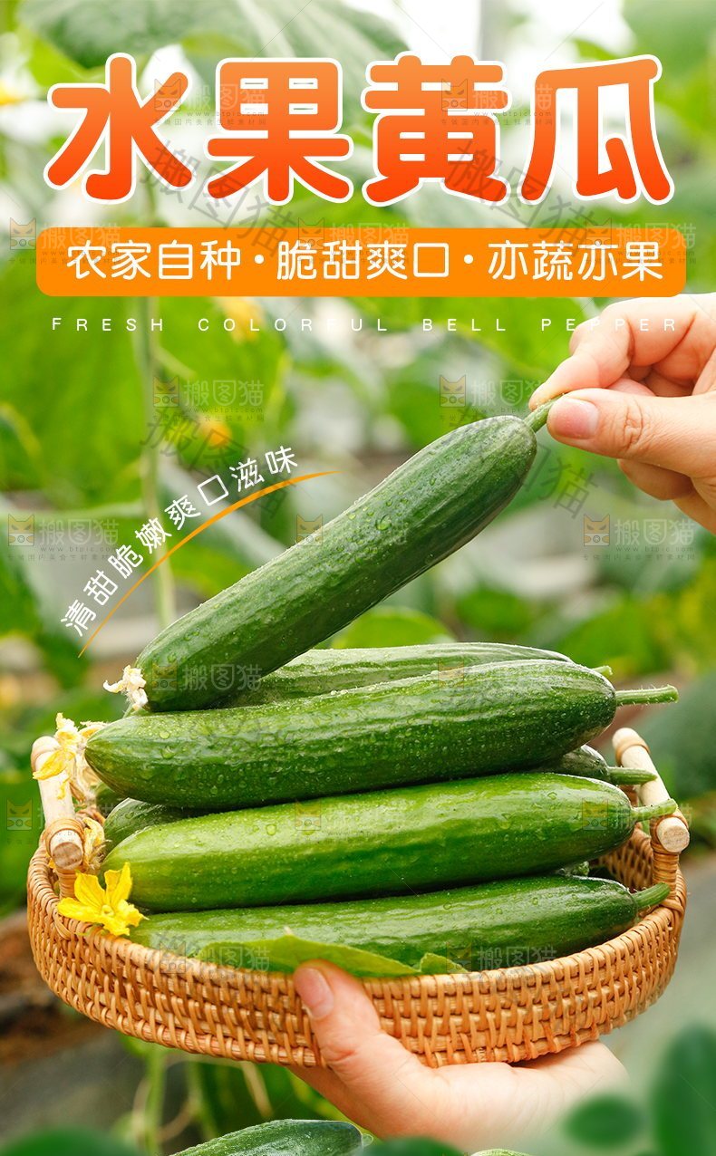 水果黄瓜详情