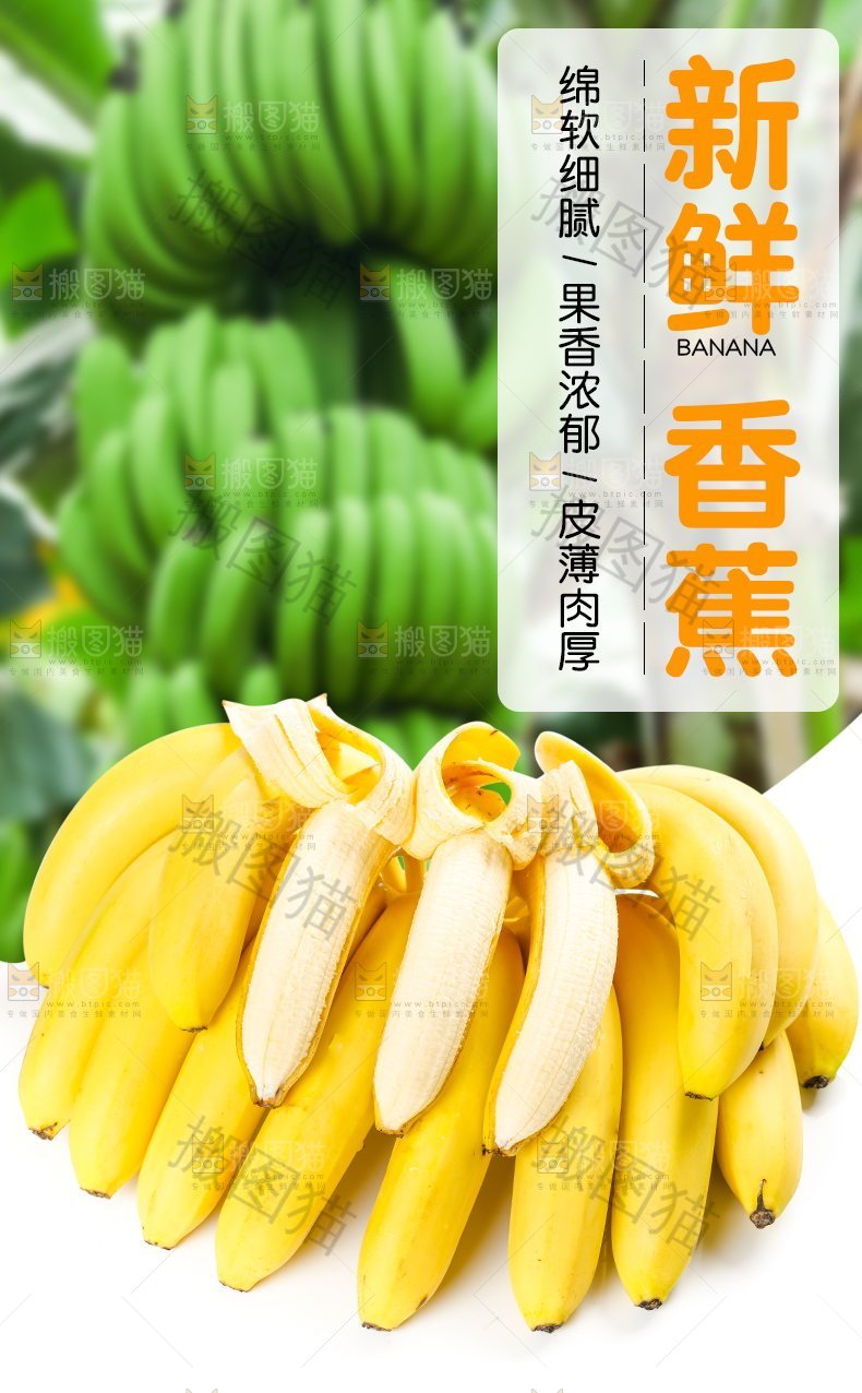 新鲜香蕉详情页