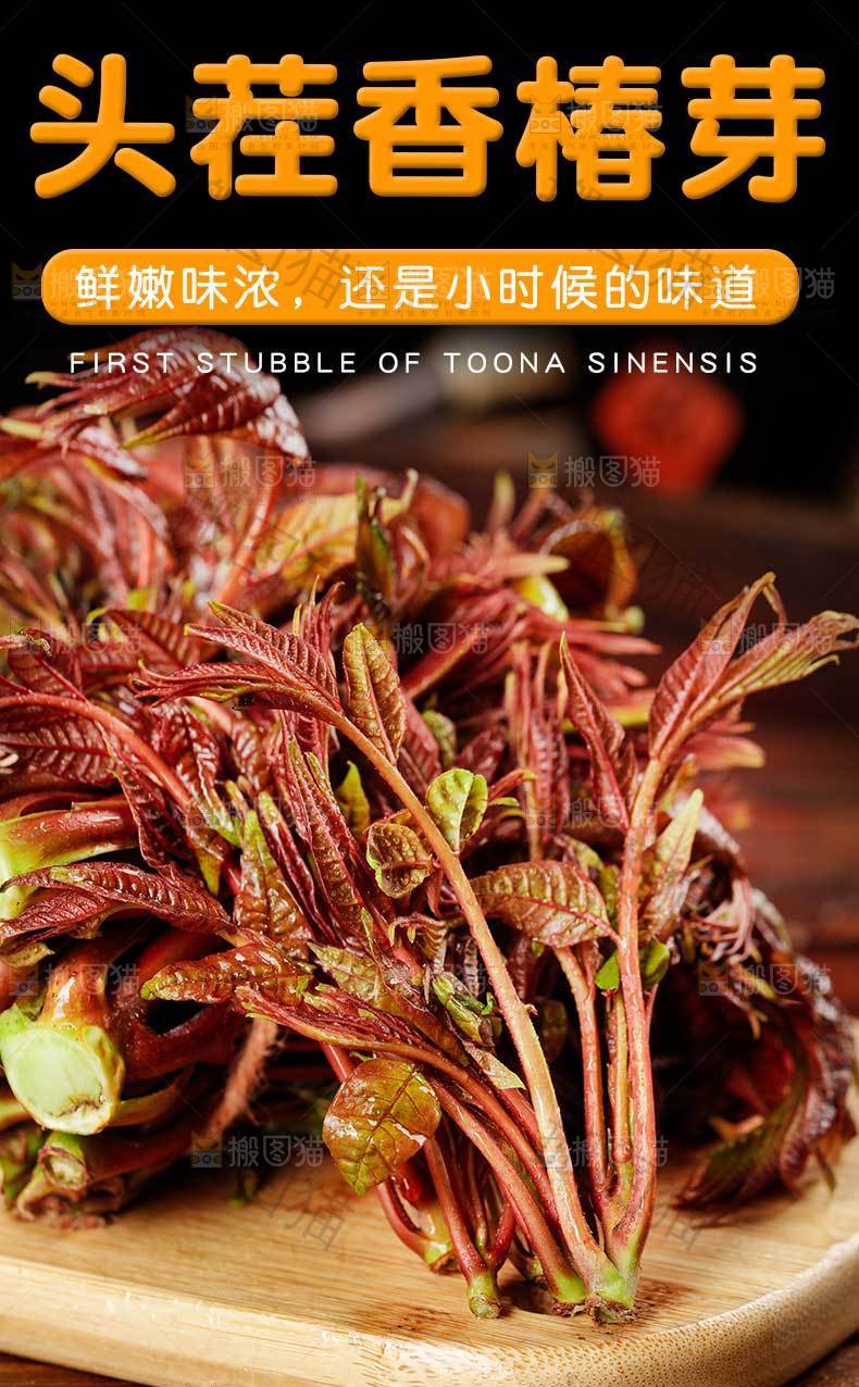 头茬香椿芽详情