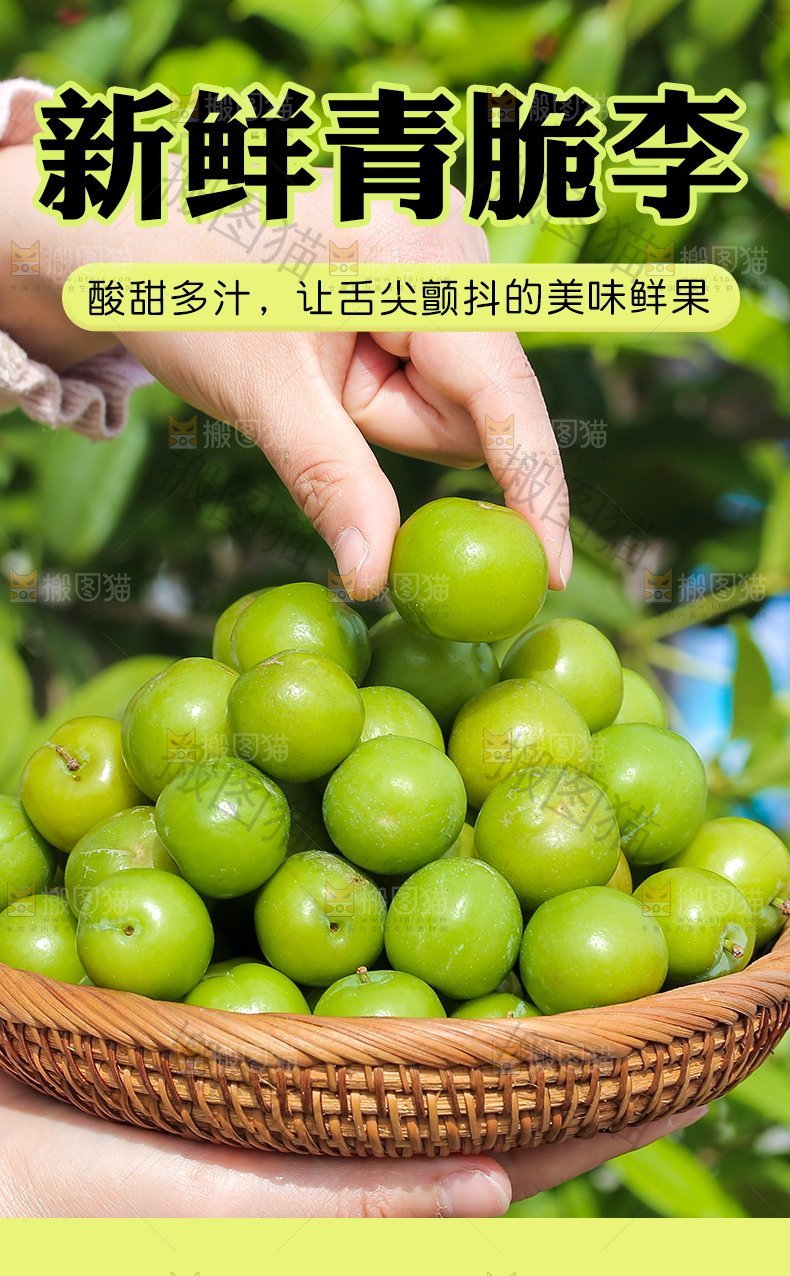 新鲜青脆李详情