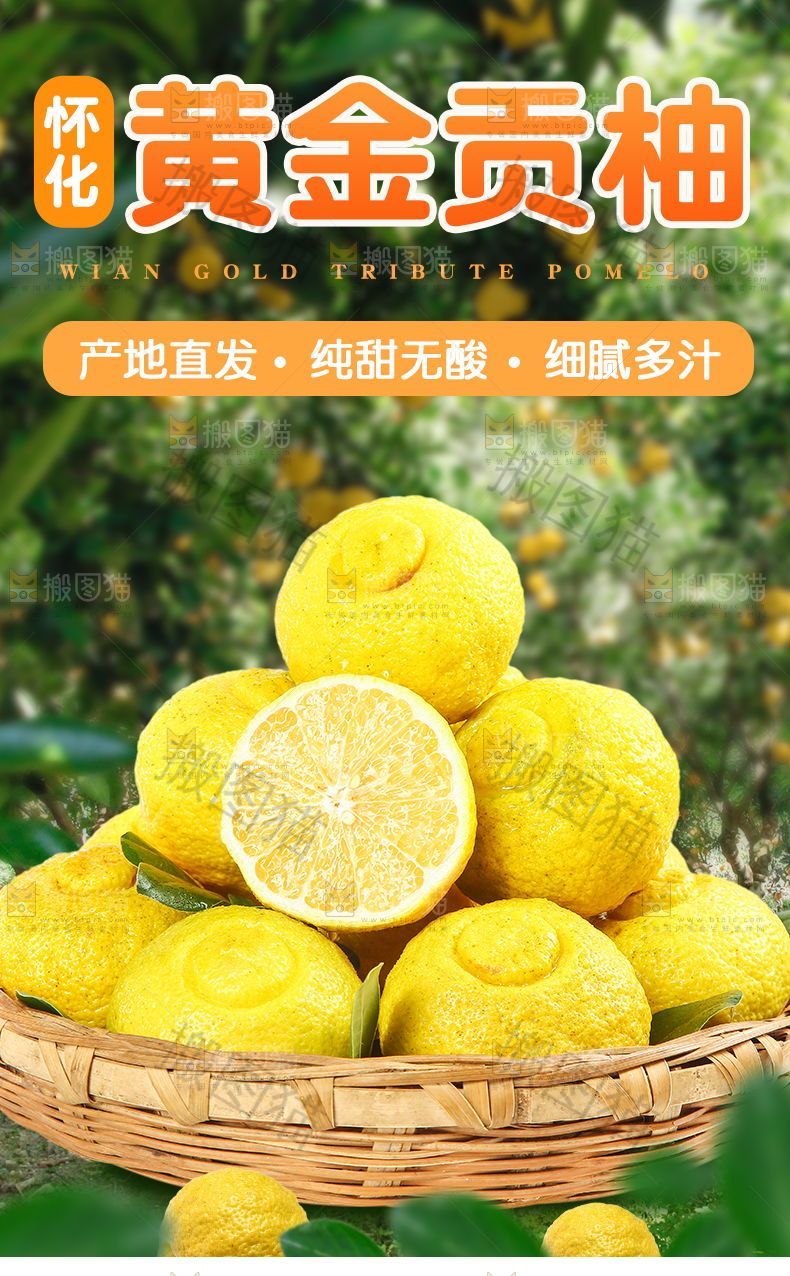 怀化黄金贡柚详情页设计