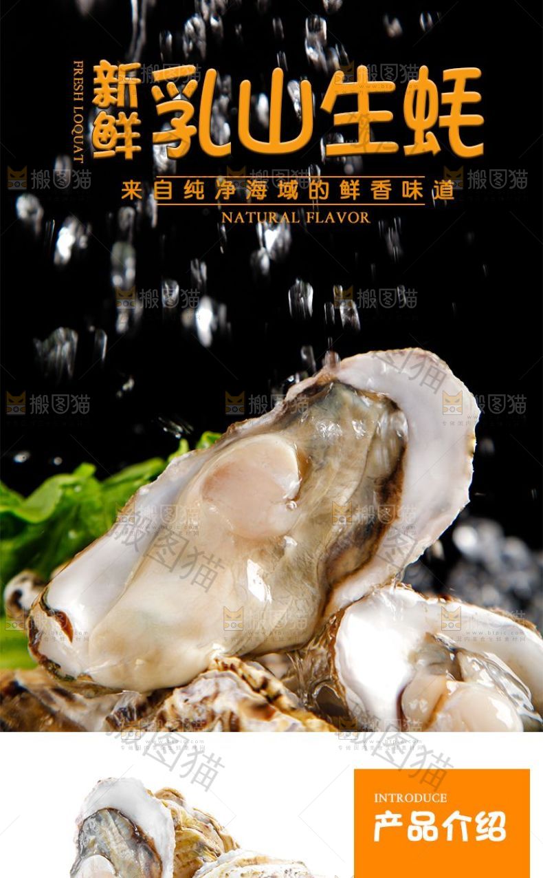 乳山生蚝详情页设计