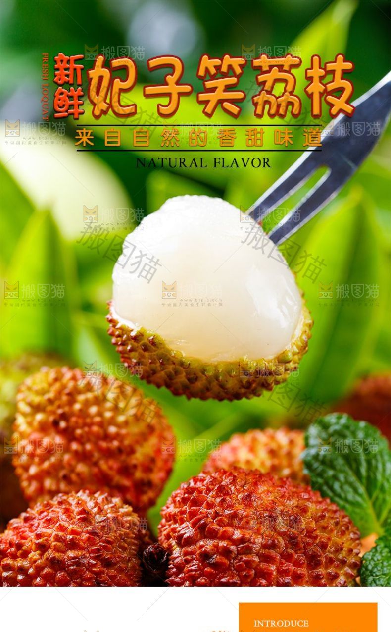 妃子笑荔枝详情页设计