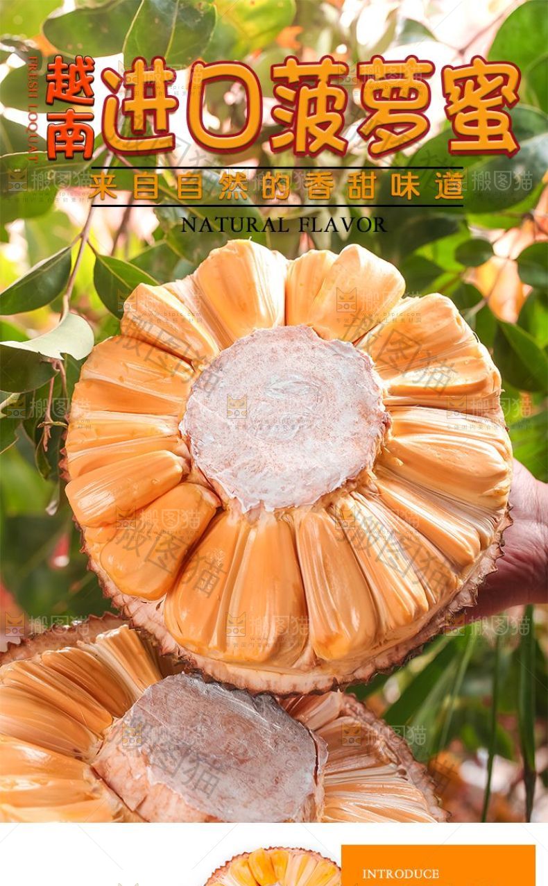 越南进口菠萝蜜详情页