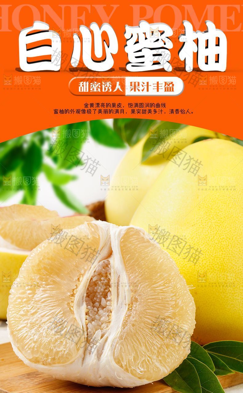 白心蜜柚详情