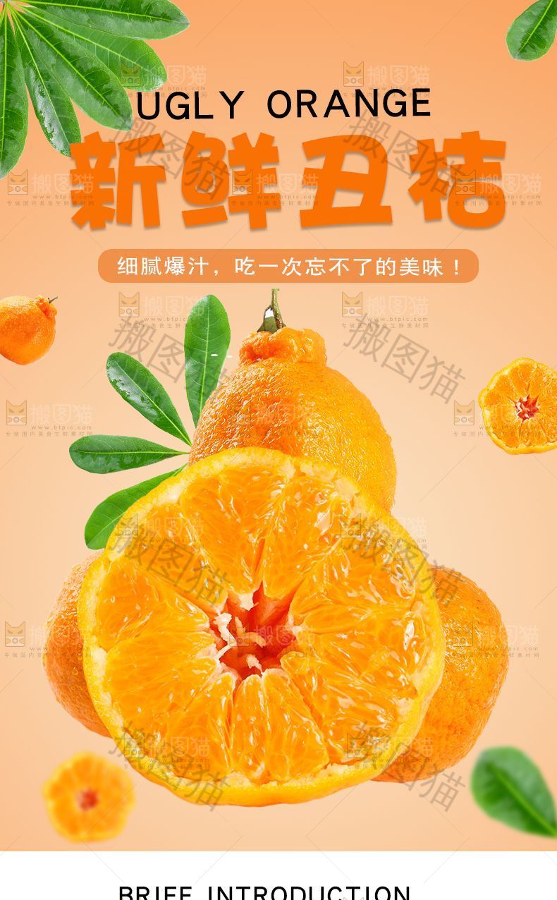 新鲜丑桔详情