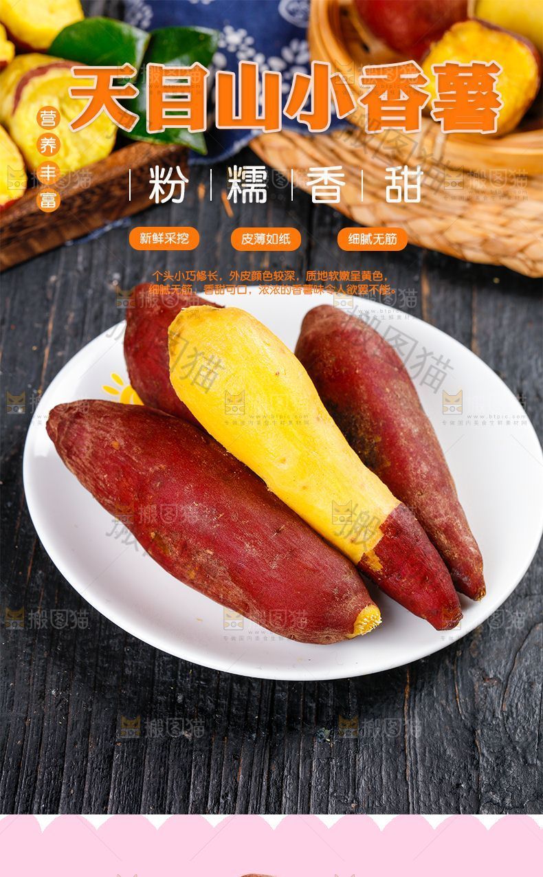 天目山小香薯详情
