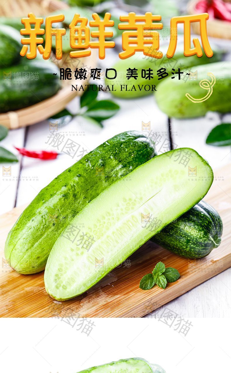 新鲜黄瓜详情