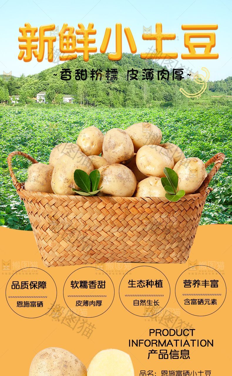 新鲜小土豆