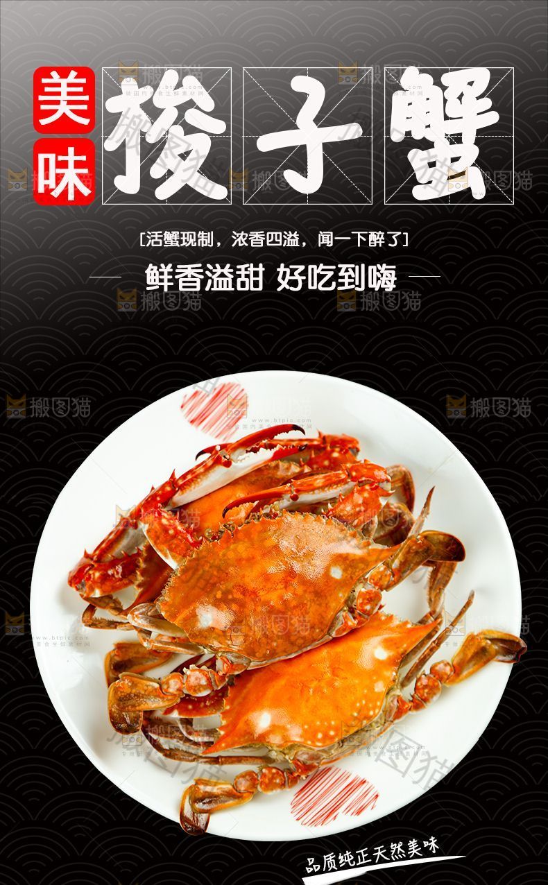 梭子蟹详情