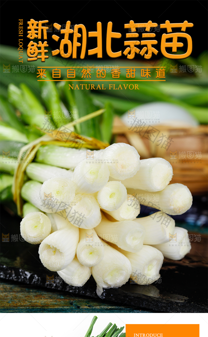 湖北蒜苗详情页设计