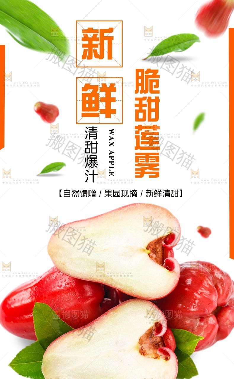 新鲜脆甜莲雾