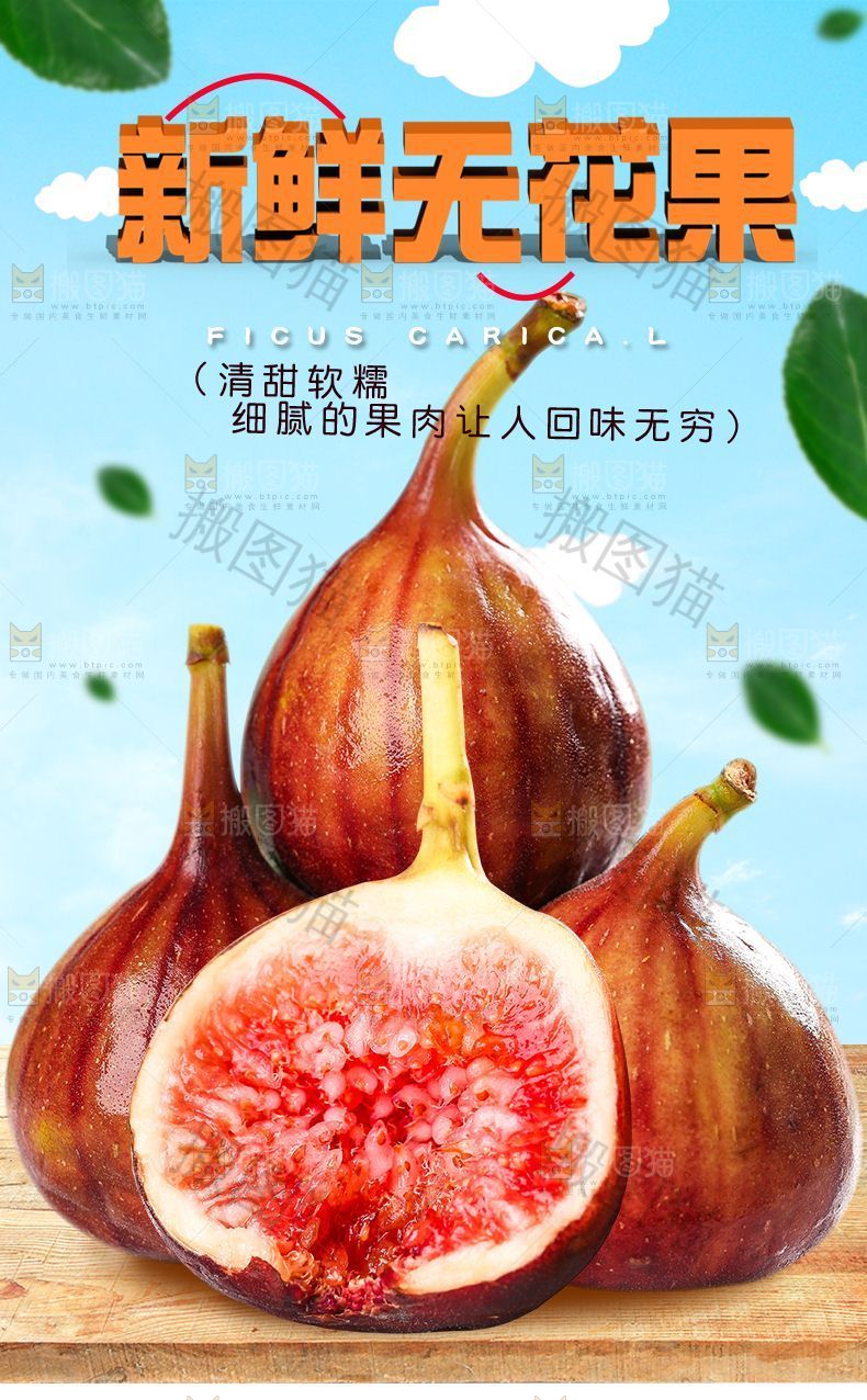 新鲜无花果详情