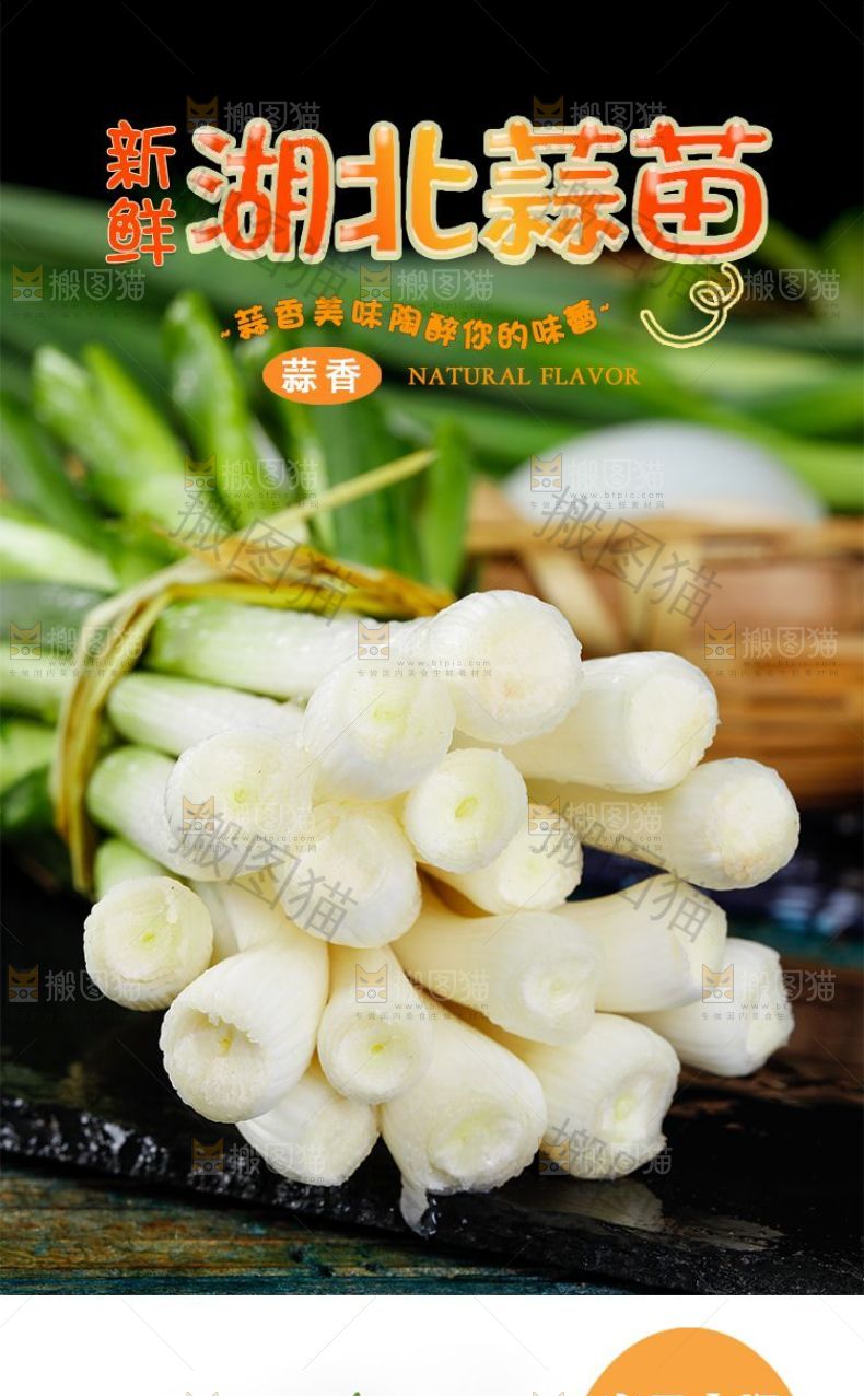 湖北蒜苗详情页设计