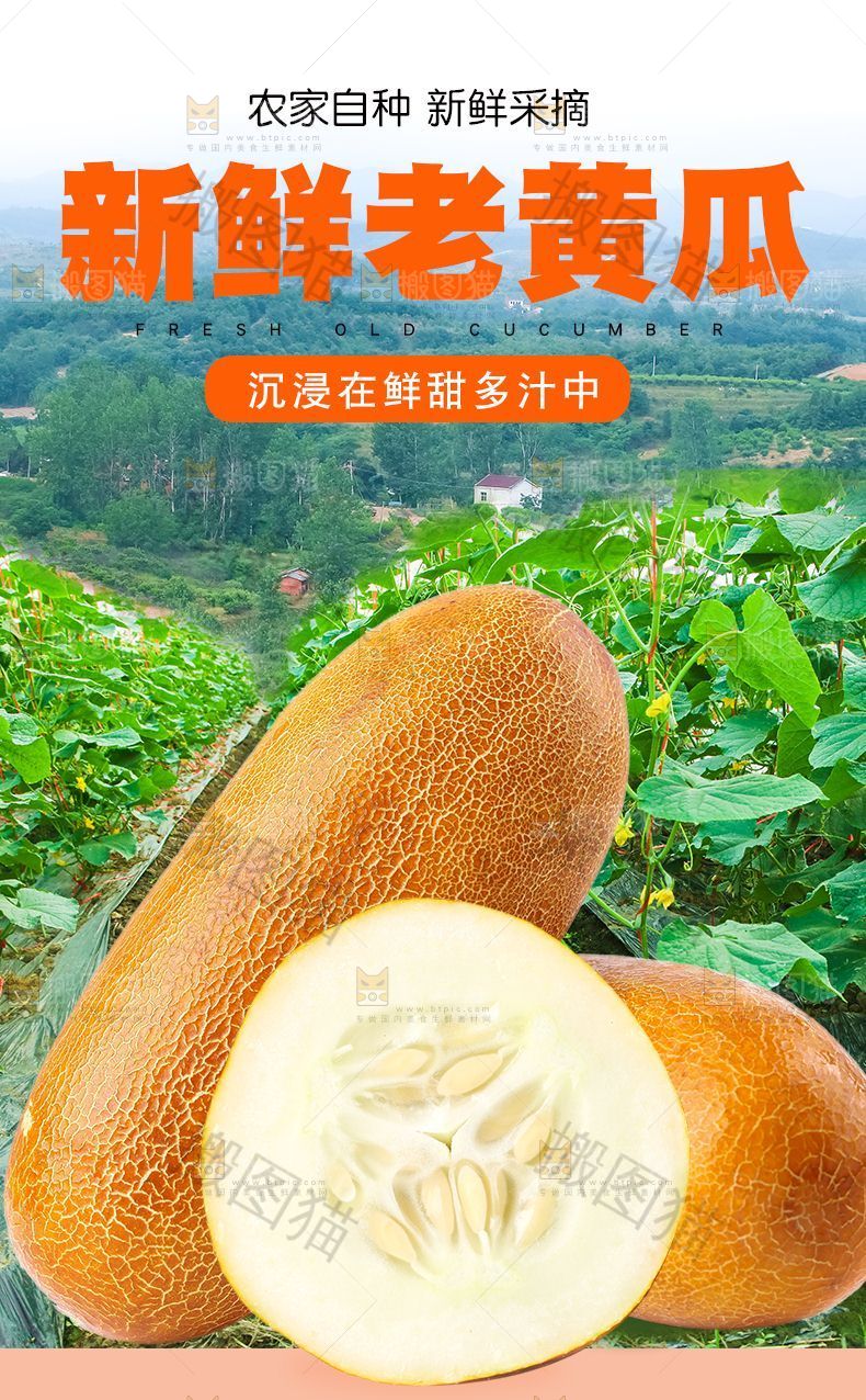 老黄瓜详情页设计