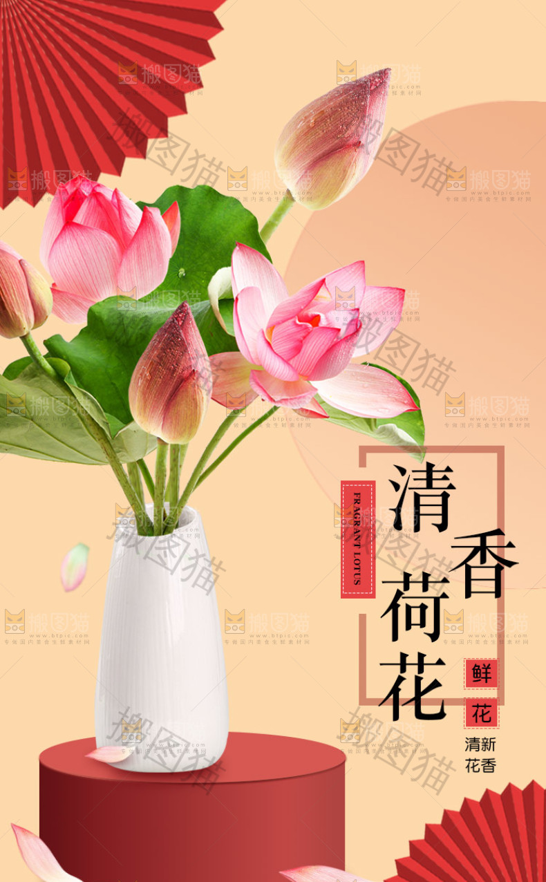 清香荷花详情页设计