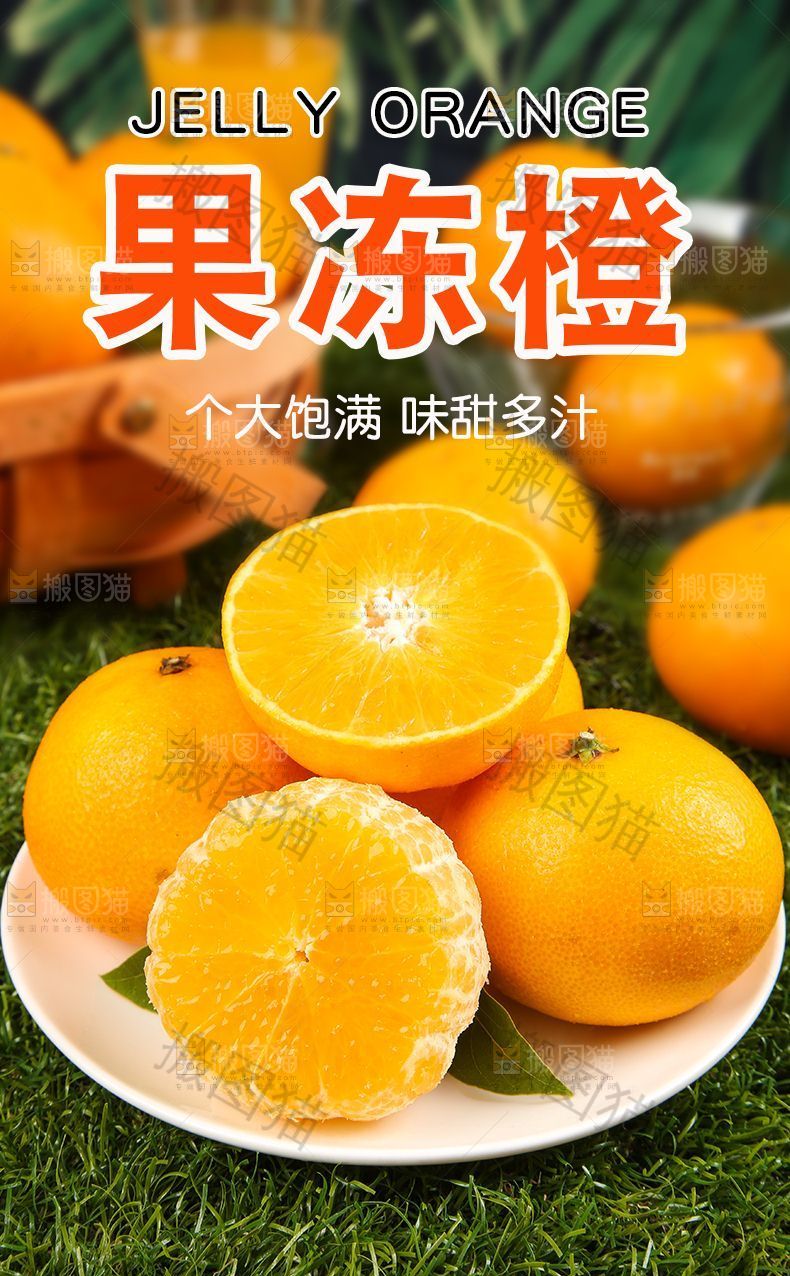 果冻橙详情