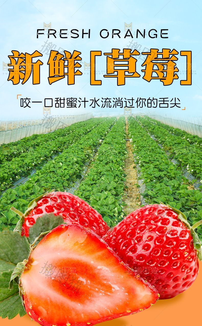草莓详情页设计