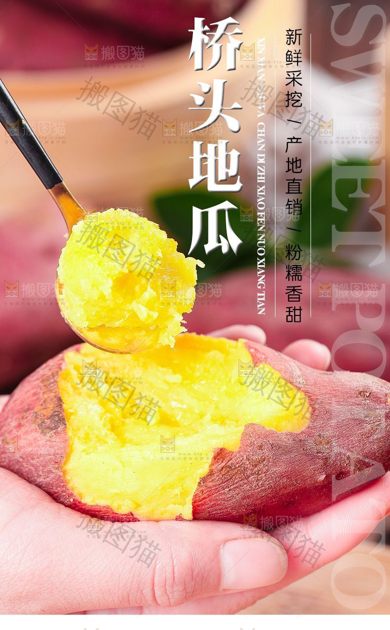 桥头地瓜详情