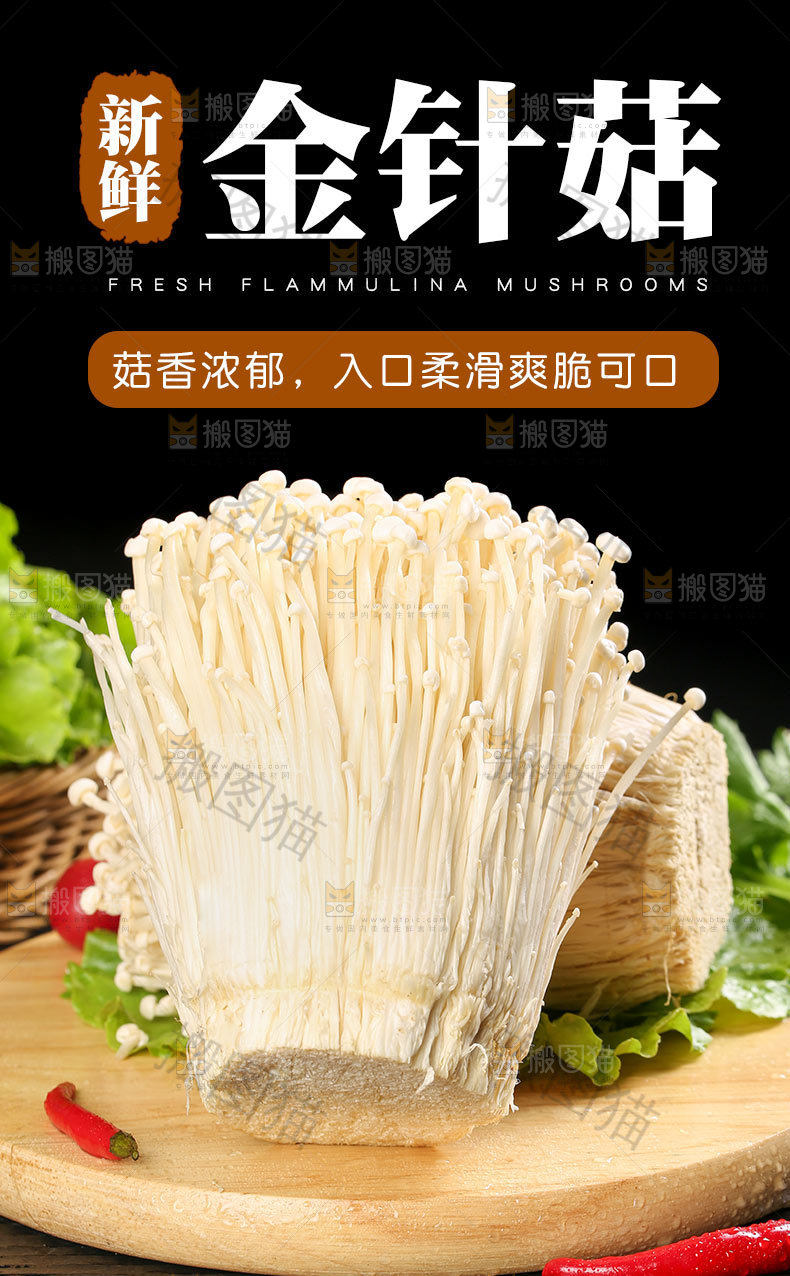 新鲜金针菇详情