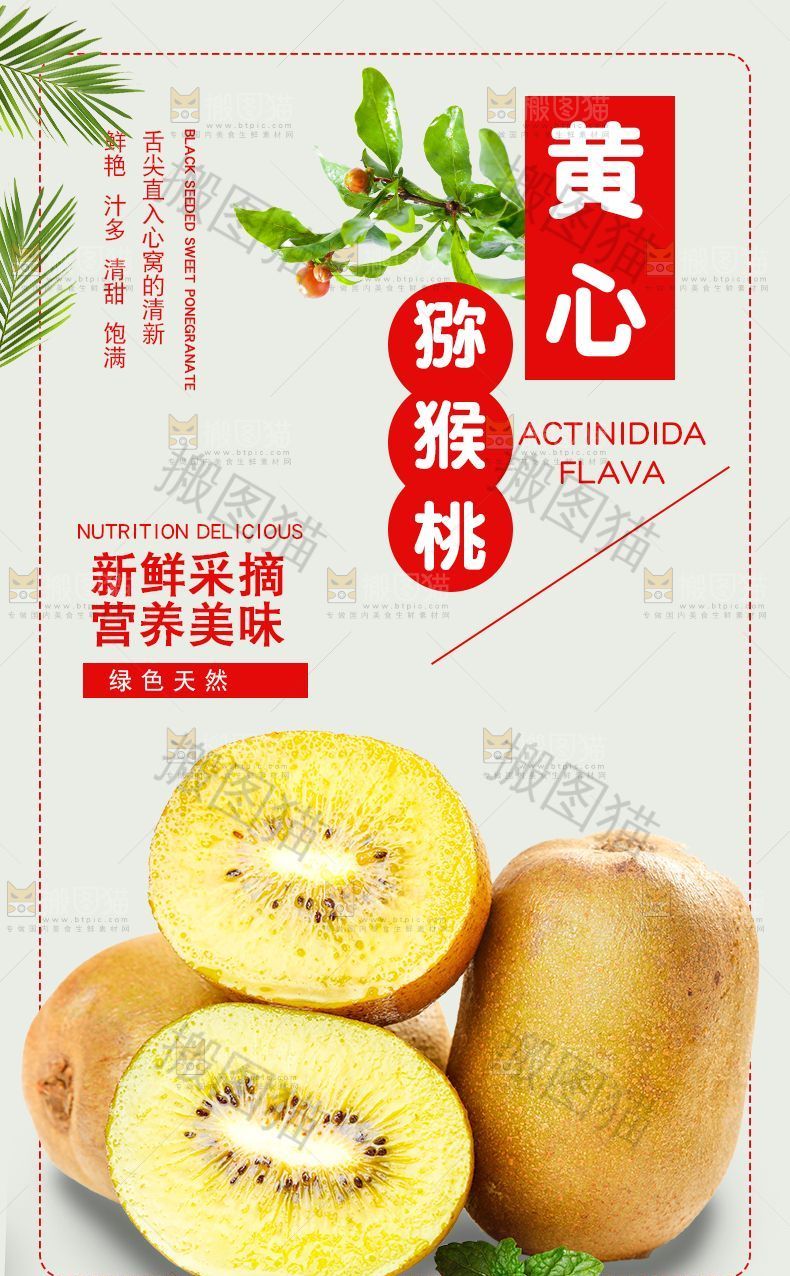 黄心猕猴桃详情页设计