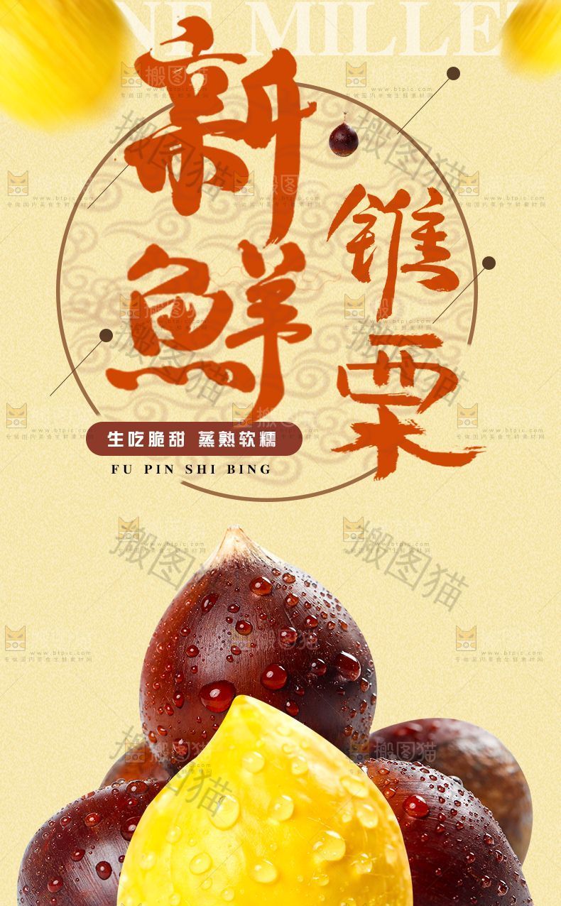 新鲜锥栗详情