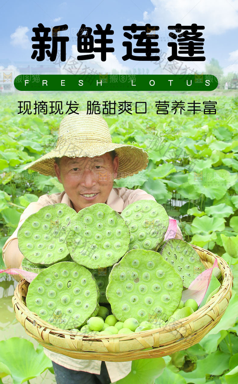 新鲜莲蓬详情页