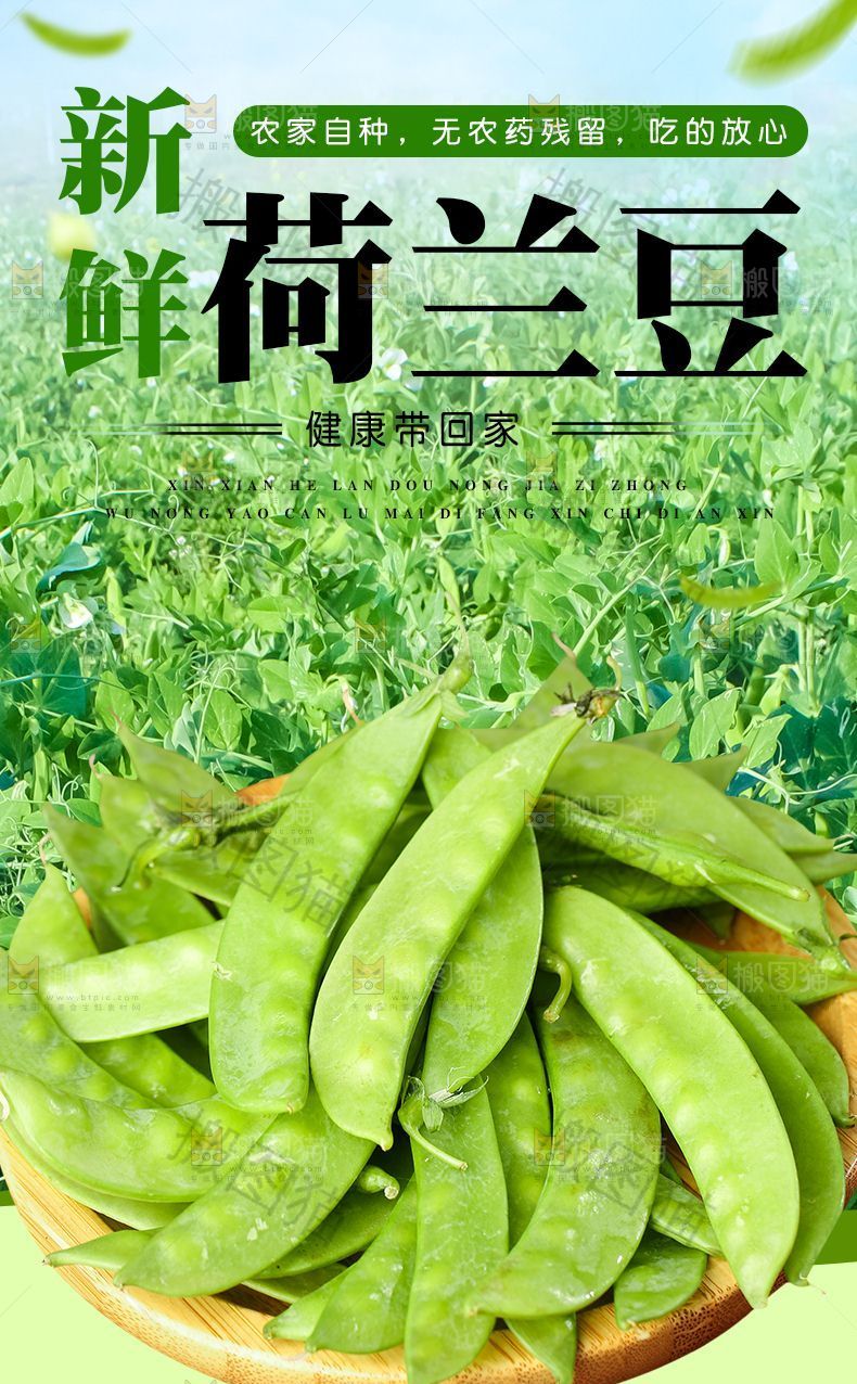 荷兰豆详情页设计