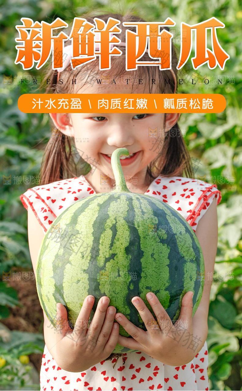 新鲜西瓜详情